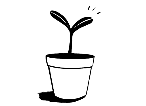 Pflanze
