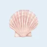 Profilbild von natalie 🐚