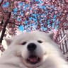 Profilbild von Vix Clotet
