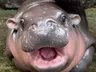 Profilbild von Barns