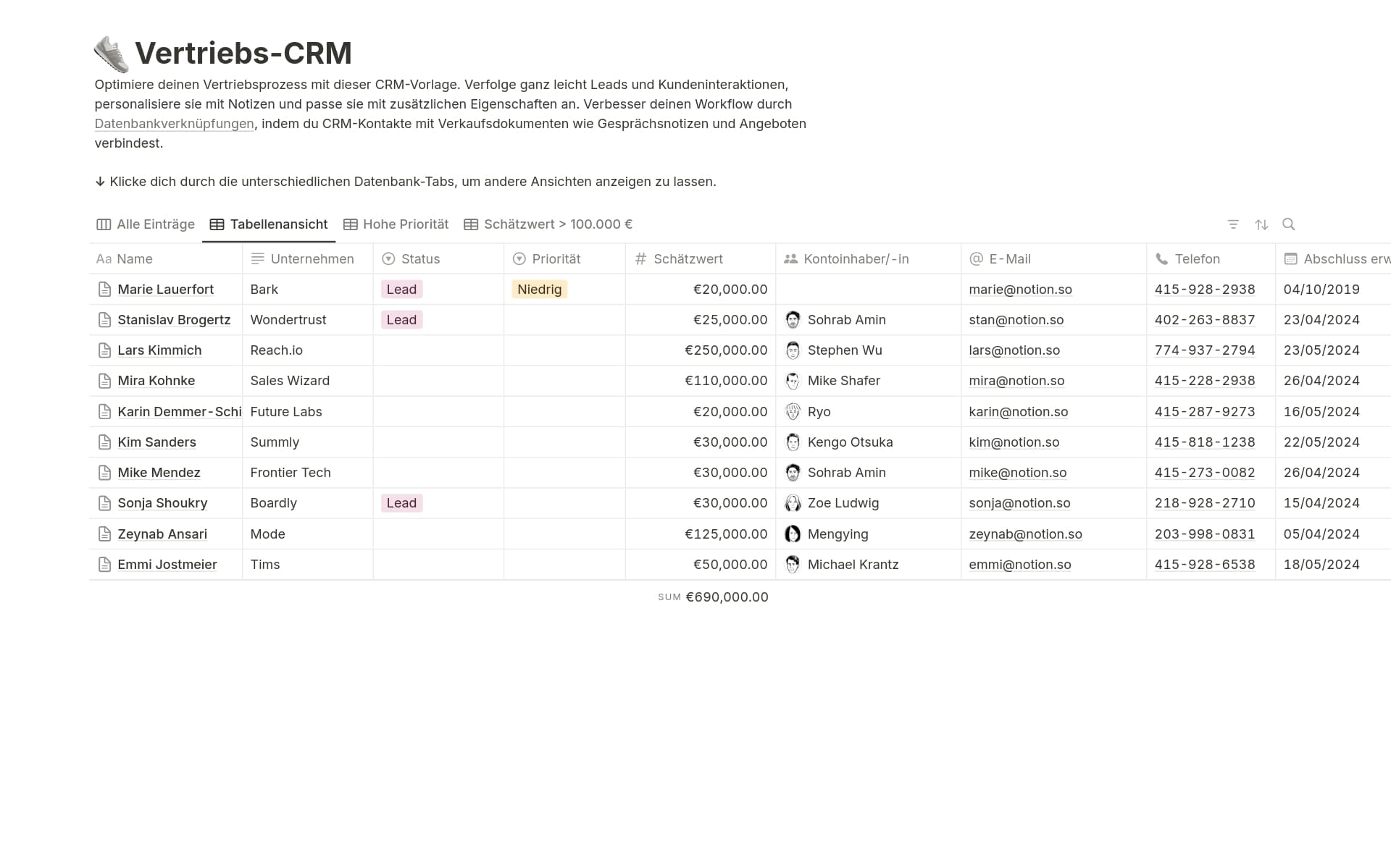 Eine Vorlagenvorschau für Vertriebs-CRM