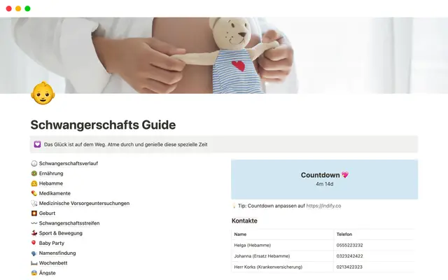 Schwangerschafts Guide