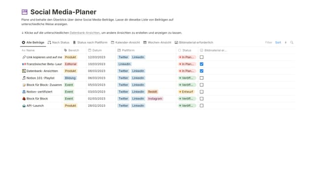 Social Media-Planer